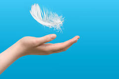 hand_veer
